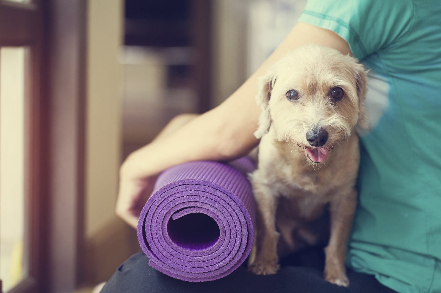 Yoga with Dogs